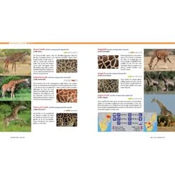 AFRIKA SAFARI REISEFÜHRER - Reiseführer -Outdoorartikel Geschäft 5637362886 c afrika safari reisefuehrer 24