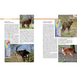 AFRIKA SAFARI REISEFÜHRER - Reiseführer -Outdoorartikel Geschäft 5637362886 d afrika safari reisefuehrer 24