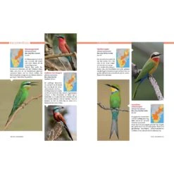 AFRIKA SAFARI REISEFÜHRER - Reiseführer -Outdoorartikel Geschäft 5637362886 e afrika safari reisefuehrer 24